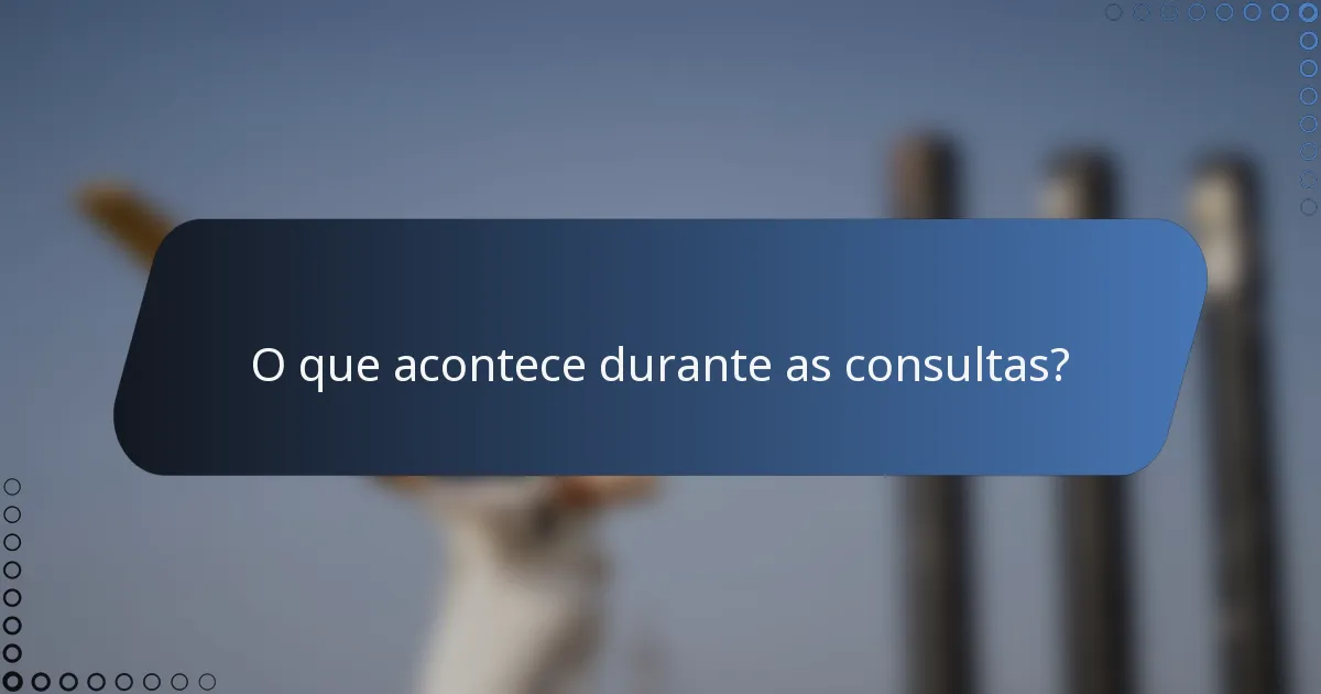O que acontece durante as consultas?